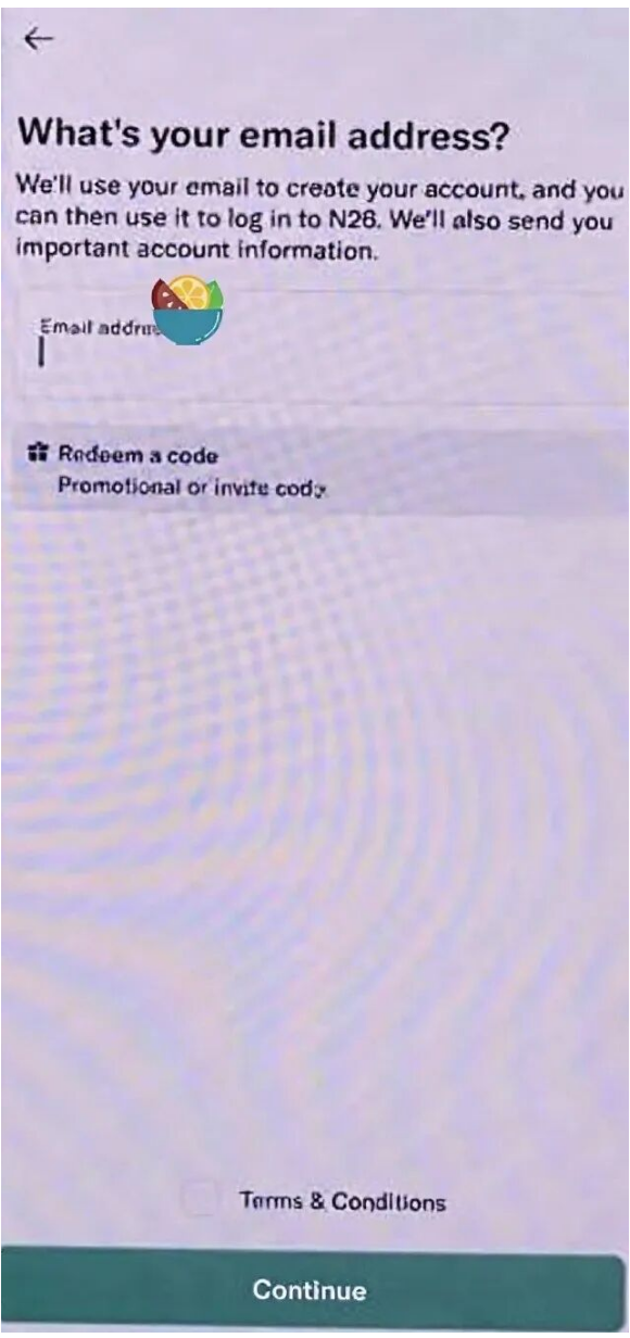 输入邮箱地址,下方 Redeem a code 填推荐码,勾选条款后 Continue