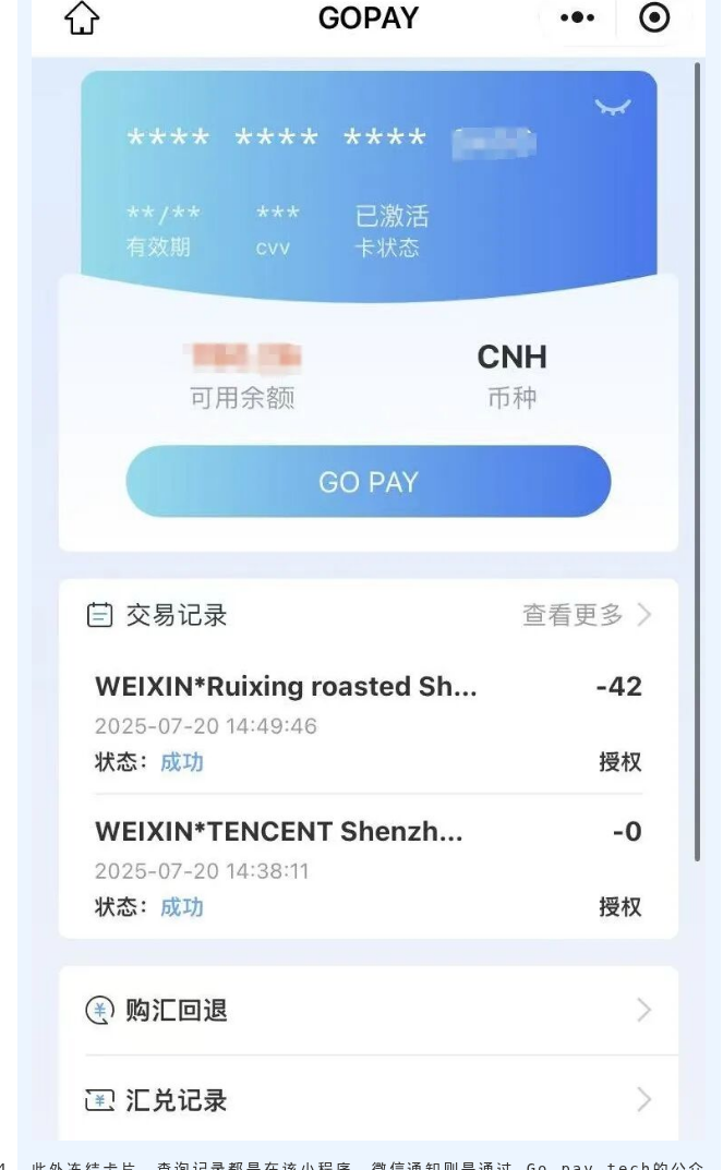 GOPAY 充值页与交易记录
