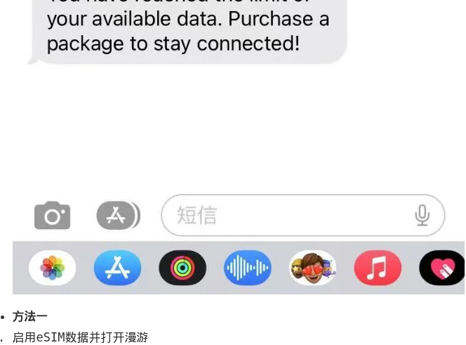 流量用尽短信与 iOS 程序坞