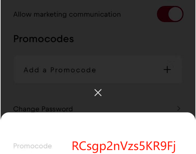 Promocode 填写弹窗
