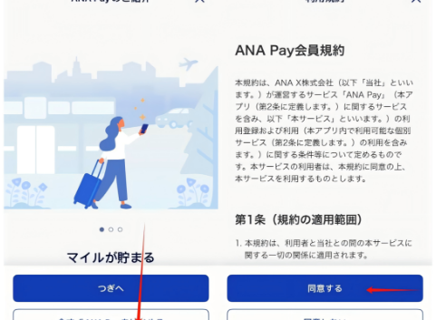 ANA Pay 介绍与利用规约