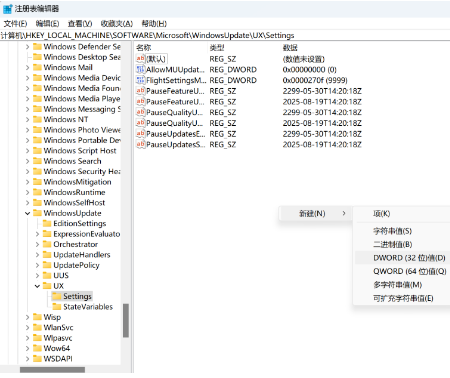 新建 DWORD（32 位）值