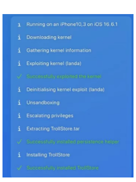 TrollStore 安装进程日志