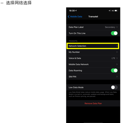 Network Selection Automatic